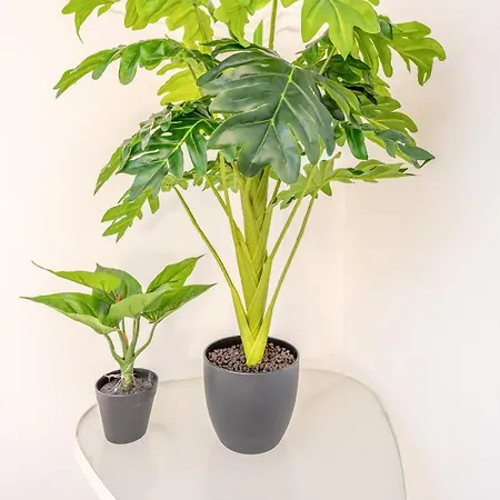 Апартаменты Guestready - Sunny Spacious In Belem *