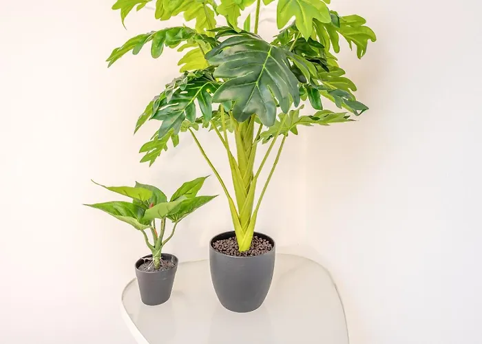 公寓 Guestready - Sunny Spacious In Belem *